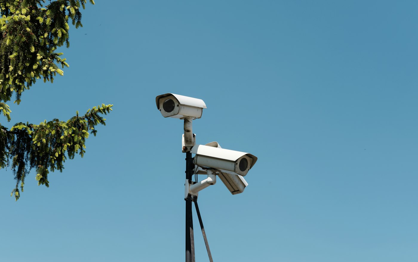Site device access and a scope review
